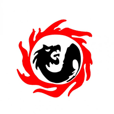 Team Page: Team Willis Newton